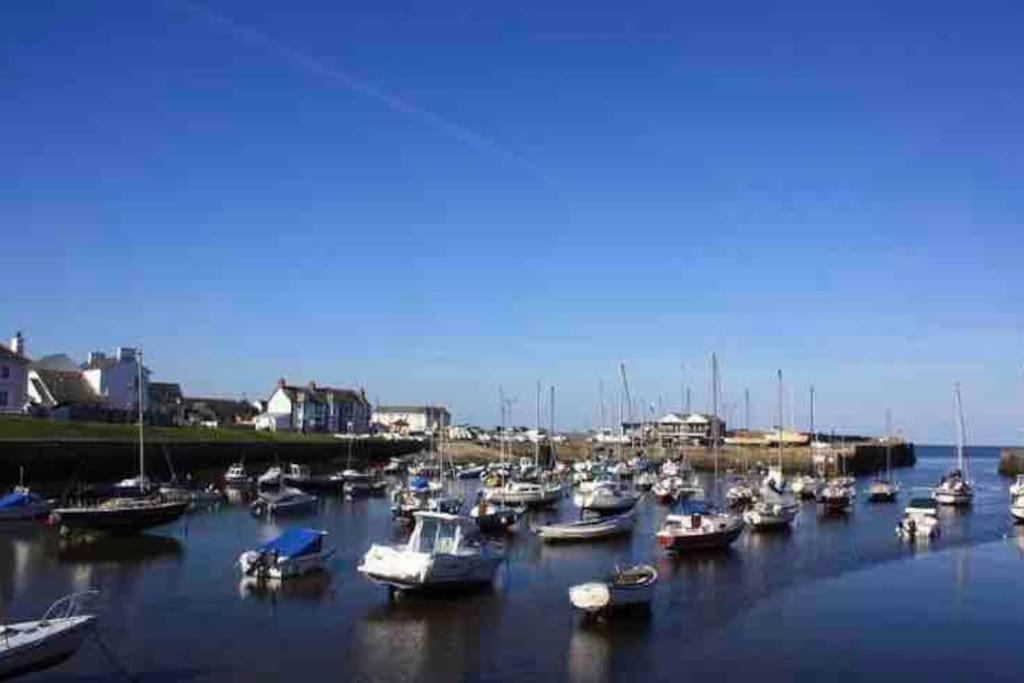 Holiday home Quirky With Private Garden Nr New Quay Cardigan Bay *