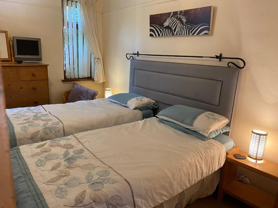 Holiday home Quirky With Private Garden Nr New Quay Cardigan Bay Llandysul
